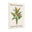 Plantes et fleurs, motif floral imprimé oiseau de paradis-176268304