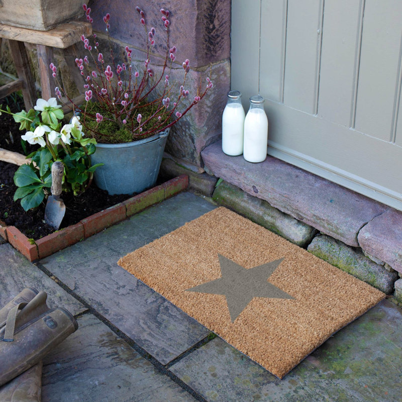 Non-Slip Indoor Doormat