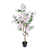 Rose sélectionné