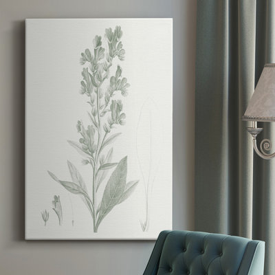 " Botanical Study In Sage III "