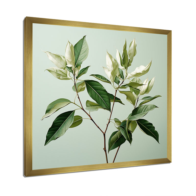 Menthe fraîche, minimalisme, feuilles, sérénité, Cadre doré simple, H 30 po x l 30 po x P 1 po