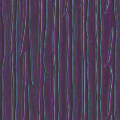 Wesco Gentry Education Fabric