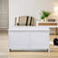 Storage Bench