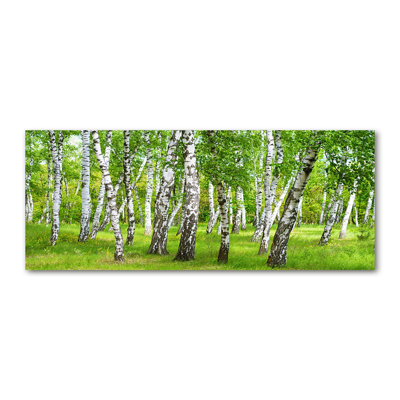 Birch Forest - Print