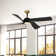 Horizon Ceiling Fan with LED Lights