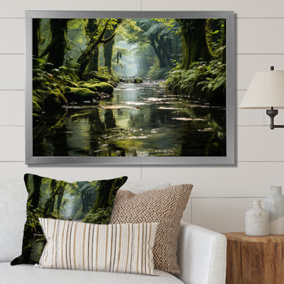 " Bwindi Impenetrable Jungle Uganda II "