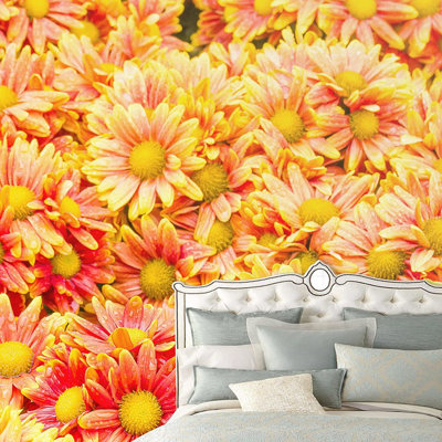 Murale fleurs de marguerite