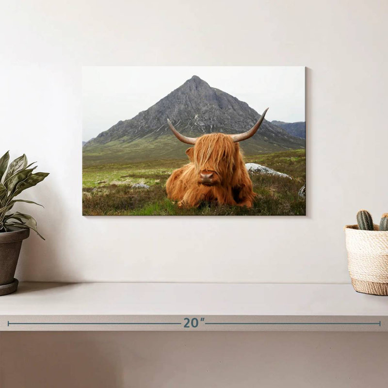 Brampt Highland Cow Serenity, 8" H x 12" W