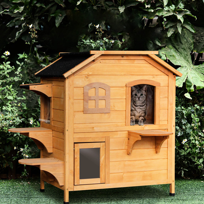 Enclos pour chat à 2 étages pour l'extérieur - maison en bois avec porte de secours et plateformes de saut pour le plaisir des chats
