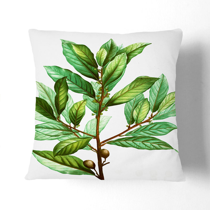 Floral Square Throw Cushion, 40 x 40 cm