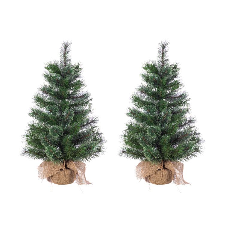 Unlit Hard Needle Pine With 76 Tips