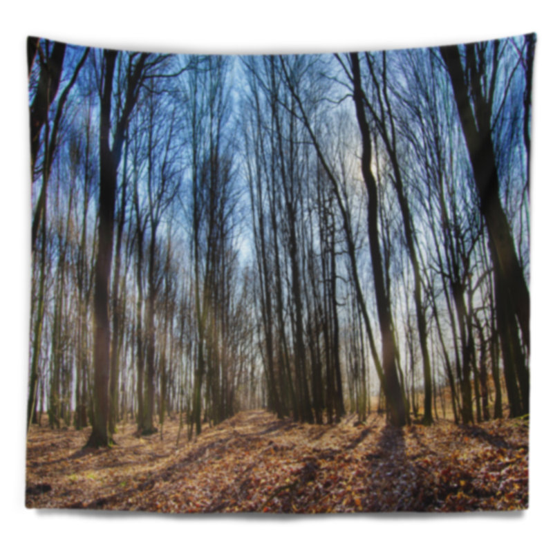 Tapisserie d'arbres sombres dans la forêt au lever du soleil, H 68 po x l 80 po