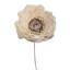 Tige de fleur de sola 4 po Vickerman Natural Botanicals 4 po - 12 tiges / sac.