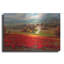 «Poppy Fields Afar» par Marino, art mural en métal-1719321314