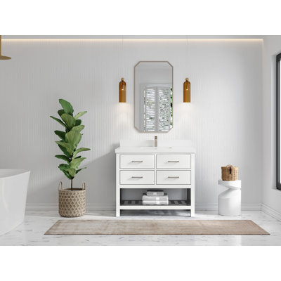 Parker 42'' Single Bathroom Vanity with Top
