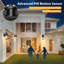 Braaten Satin Black Outdoor Wall Lantern