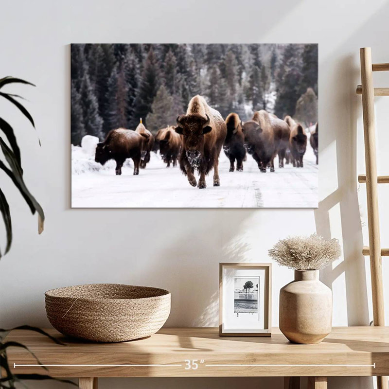 Bisons d'hiver, H 16 po x l 24 po