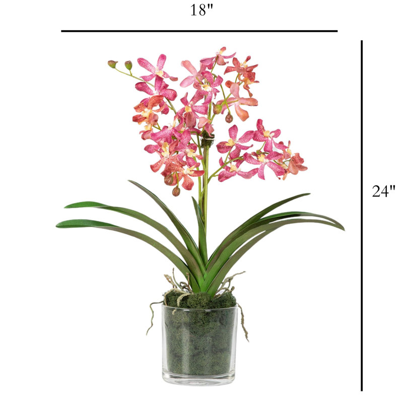 Orchid Arrangement In Glass Vase, Pink