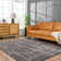 Kaern Abstract Gray Area Rug