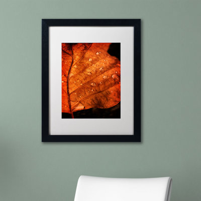 «Autumn Droplets» par Philippe Sainte-Laudy - reproduction de photo sur toile encadrée