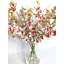 Arrangement d'orchidées dans un vase