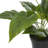 16.55 " H Faux Plant in Plastic Pot