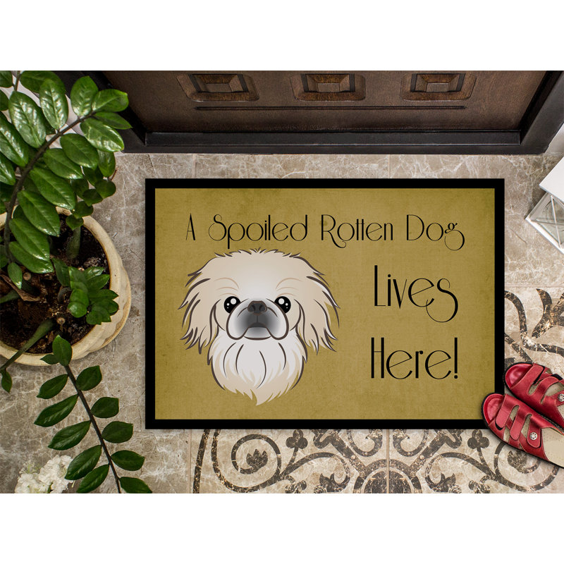 Tapis de porte d’extérieur anti-dérapant pour chien pékinois, Rectangle 2 pi x 3 pi