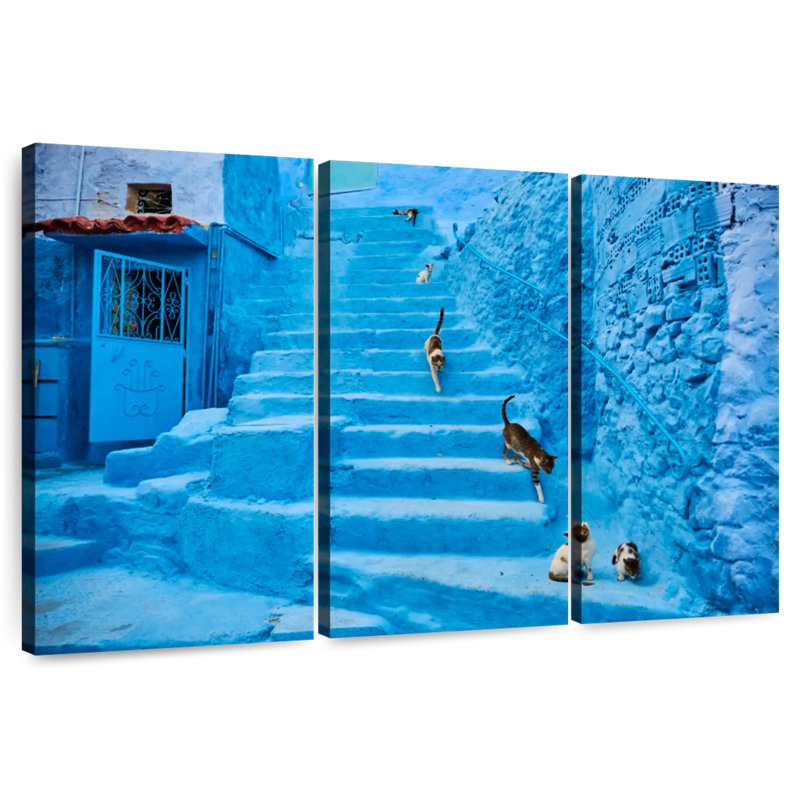 Chats Brampt Chefchaouen, H 28 po x l 45 po