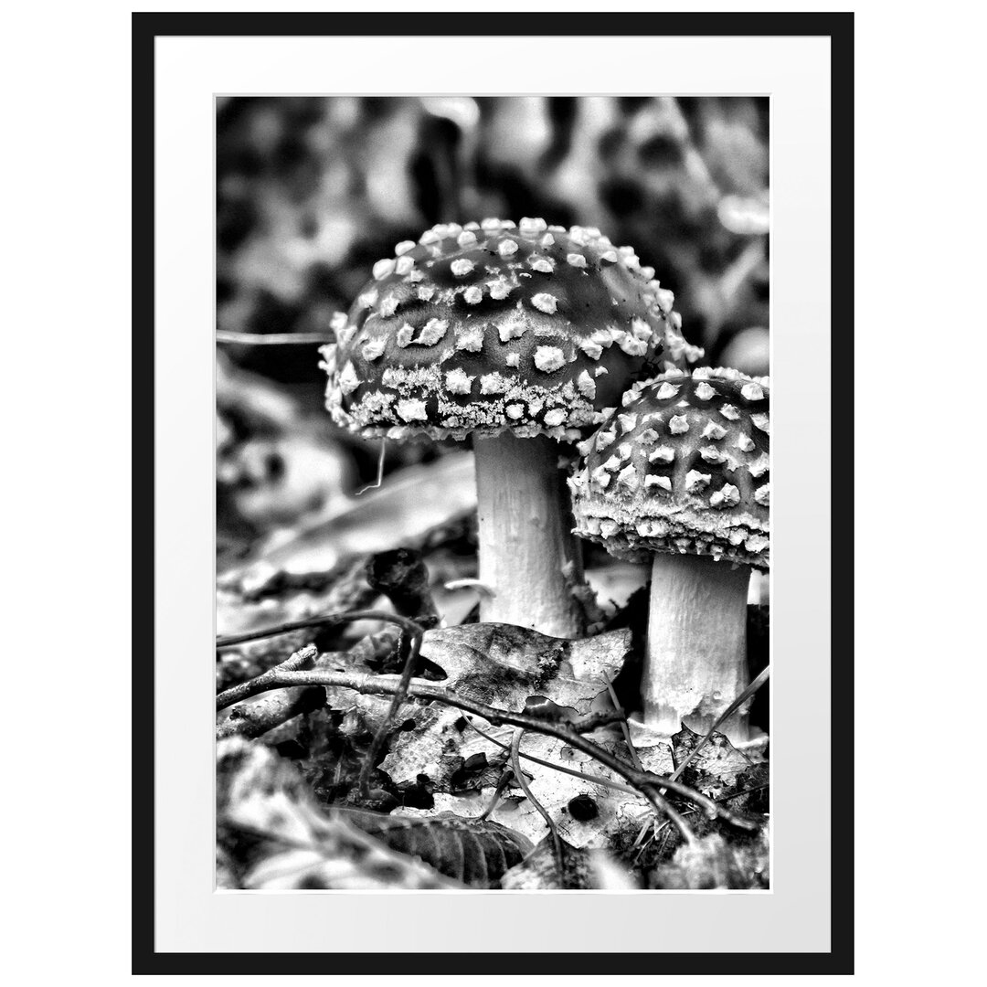 Gerahmtes Poster Pilz im Wald