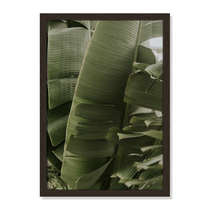 Palm Paradise par Anna Land - Art encadré à fond, 23" H x 17" W x 1.25" D, Cadre en noyer à grain ouvert