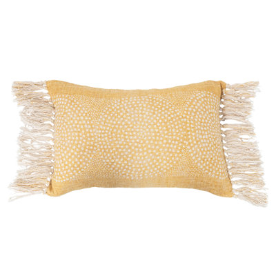 Fringed Reversible Throw Pillow