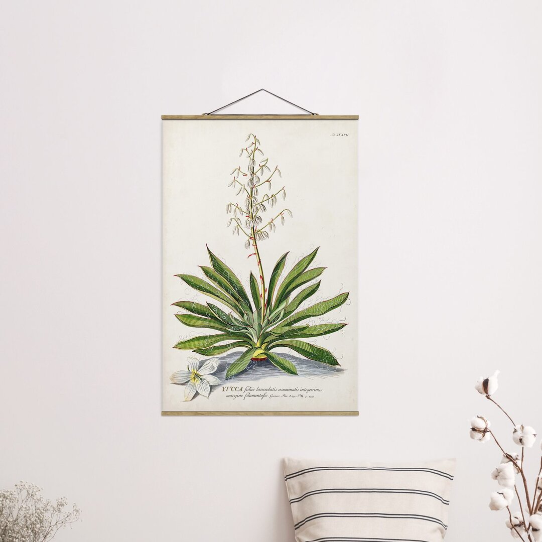 Kunstdruck Vintage Botany Illustration Yucca