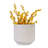 Milk White Ceramic Flowerpot For Patio And Windowsill, 42.36 Lbs, Heat - , Built In Drainage Small Plants Planter Garden, 16.32" L, Construction, Herbs Greenery-1211643213