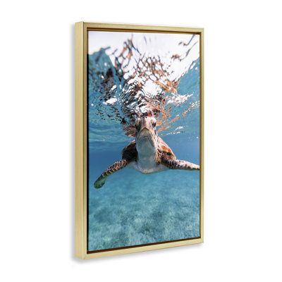 «Hello Sea Turtle Splash Floater» par Max Blakesberg Studios