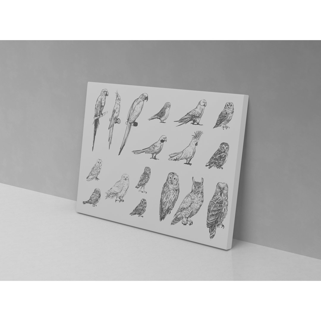 Birds Sketch - Wrapped Canvas Graphic Art