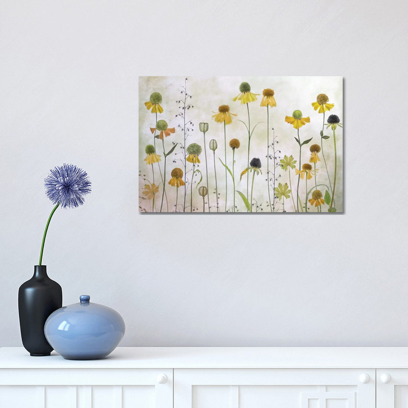 Helenium by Mandy Disher - Print on Canvas, Wrapped Canvas, 30.48cm H x 45.72cm W x 1.91cm D