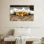 Pekin Ducks de Brampt-108821420