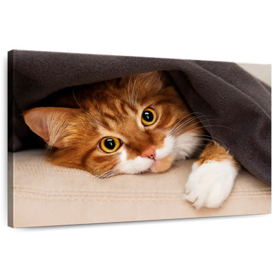 Crowle Cozy Cat