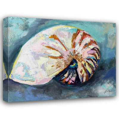 Dovecove Vertentes, Jeanette Gallery Wrapped Canvas Art Titled: Nautilus Shell