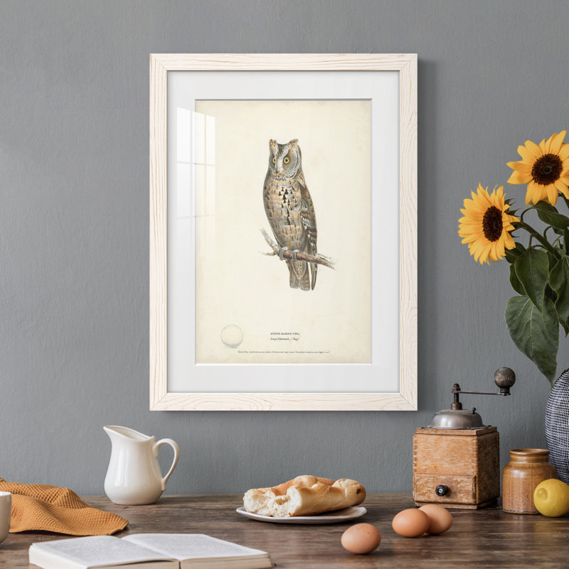 " Scops- Eared Owl ", 32" H x 23" W x 1" D, White Framed