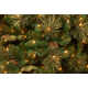 The Holiday Aisle® Carolina Pine Tree with Clear Lights