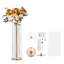 Décorations et panneaux en fer-100028462