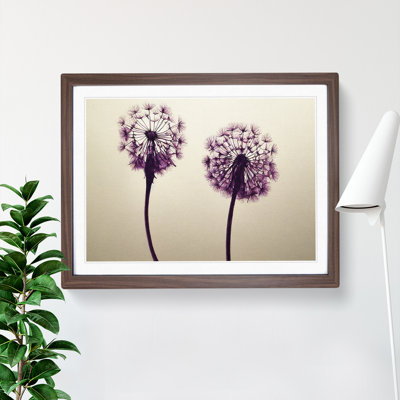 Dandelion Watercolour - Framed Print