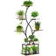 Support pour plante d'intérieur 63,8 "avec lumière de croissance, étagère de coin en métal à 8 niveaux pour plantes d'intérieur multiples