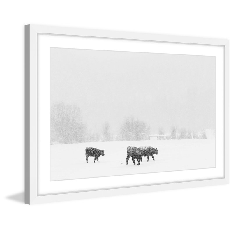 « roaming the land », reproduction de photo sur papier encadrée, H 30 po x l 45 po x P 1,5 po