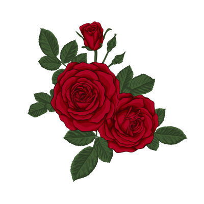 Red Roses - Wrapped Canvas Print