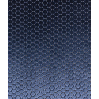 Ditty Fabric