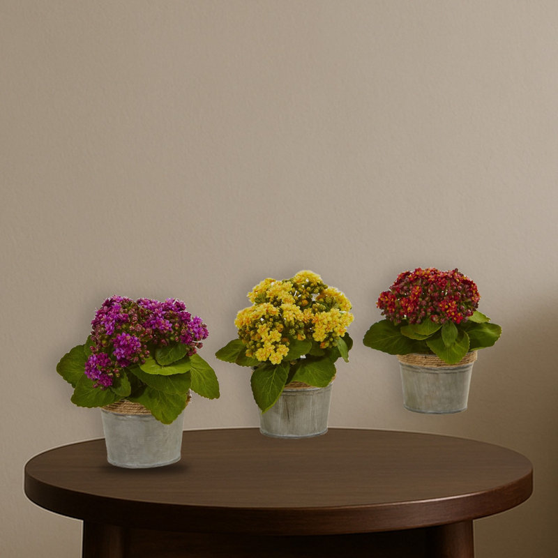 Ensemble de trois plantes artificielles Kalanchoe