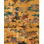 The Curators Cabinet Wallpaper Roll