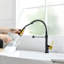 Robinet de cuisine avec douchette rétractable, robinet d'évier de cuisine à poignée simple